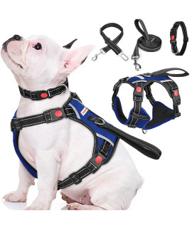 Babyltrl No Pull Dog Harness With Leash & Collar, Adjustable Dog Vest Harness Reflective Oxford No-Choke Soft Pet Harness For Small Medium Large Dogs Easy Control Harness (Blue, Medium)