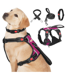Babyltrl No Pull Dog Harness With Leash & Collar, Adjustable Dog Vest Harness Reflective Oxford No-Choke Soft Pet Harness For Small Medium Large Dogs Easy Control Harness (Rosered, Large)