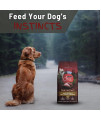 Purina ONE True Instinct Dog Food Turkey and Venison Bundle | Includes 1 Bag of Purina ONE Turkey and Venison Dry Dog Food (7.4 LB) | Plus Paw Food Scoop!
