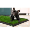 DoggieLawn - Premium Plastic Tray for XL Real Grass Potty Pad - Indoor and Outdoor Use - 4ft x 2ft