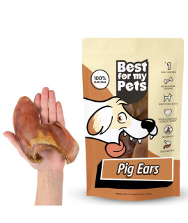 Best For My Pets Pig Ears For Dogs (Whole, 6 Pack), Healthy, Highly Digestible All Natural Pigs Ears Long-Lasting Dog Chews, Pork Dog Chew Treat