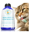 HealthyAnimals4Ever Oral Health Gum Healing for Cats - Relieves Inflammation, Soothes Pain, Fights Gum Disease - Natural, Non-GMO, Organic - Gluten, Preservative & Chemical Free Supplement - 300 ct