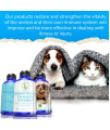 HealthyAnimals4Ever Urinary Support for Bladder and Kidneys for Cats - for Urinary Tract Infections & Renal Cleansing - Natural, Homeopathic, Non-GMO, Organic - Preservative & Chemical Free - 300ct