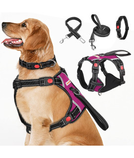 Babyltrl No Pull Dog Harness With Leash & Collar, Adjustable Dog Vest Harness Reflective Oxford No-Choke Soft Pet Harness For Small Medium Large Dogs Easy Control Harness (Rosered, X-Large)