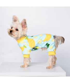 Dog Pajamas For Small Dogs Girl Boy Puppy Pjs Fall Winter Pet Onesies For Chihuahua Teacup Cute Blueberry Soft Material Stretch Able Cat Clothes Outfit Apparel Doggy Jumpsuit (X-Small Bust 122In)