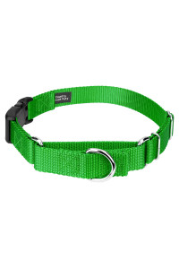 Country Brook Petz - Hot Lime Green Heavyduty Nylon Martingale with Deluxe Buckle - 30+ Vibrant Color Options (1 Inch, Large)