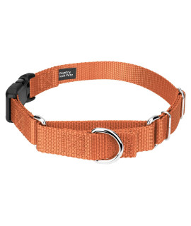 Country Brook Petz - Coral Heavyduty Nylon Martingale with Deluxe Buckle - 30+ Vibrant Color Options (1 Inch, Extra Large)