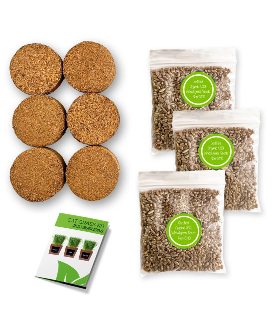 Zestigreens Organic Cat Grass Refill Kit
