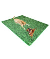Ruff World Reusable Washable 48"x72" Oder Resistant Pee Pads for Dogs-Custom Grass Pattern Training Mats for Dogs