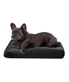 K9 Ballistics Tough Rectangle Pillow Medium Dog Bed - Washable, Durable And Water Resistant Dog Bed - Made For Small Dogs, 24 X 18