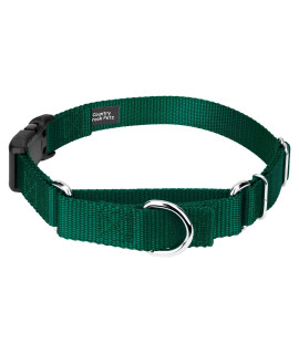 Country Brook Petz - Green Heavyduty Nylon Martingale with Deluxe Buckle -30+ Vibrant Color Options (1 Inch, Large)