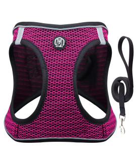 Balabuki Dog Harness Vest For Small And Medium Dogs No Pull, Easy Walk Soft Step In Escape Proof Reflective Harness And Leash Set, L Pink
