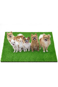 Loobani Dog Grass Pads, 394X591 Inches Dog Pee Grass For Dogs Potty Training, Dog Potty Grass With Drainage Hole, Artificial Grass Indoor Outdoor And Easy To Clean
