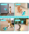 GBSYU Interactive Windmill Cat Toys with Catnip : Cat Toys for Indoor Cats Funny Kitten Toys with LED Light Ball Suction Cup?Cat Nip Toy for Cat chew Exercise (Blue)