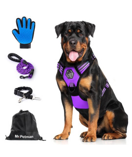 Mr Petman No Pull Dog Harness With Leash, Seat Belt, Grooming Glove - No Choke Dog Harness Set For Small Medium Large Dogs- Reflective Adjustable Dog Vest Harnesses With Handle For Walking Training