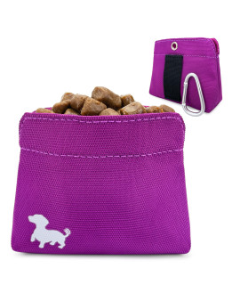 Swaggly Pocket Sized Dog Treat Pouch - Treat Pouches for Pet Training - Small Dog Treat Pouch Magnetic Closure - Dog Walking Accessories - Assorted Colors (Small, Pink)