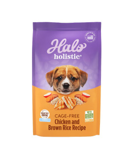 Halo Holistic Dog Food, Complete Digestive Health Cage-Free Chicken And Brown Rice Recipe, Dry Dog Food Bag, Puppy Formula, 35-Lb Bag