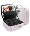 Momira Travel Cosmetic Train Case With Lighted Mirror 3 Color Scenarios Cosmetic Bag Organizer With Adjustable Dividers Makeup Storage For Women, Makeup Accessories Tools Case Violet Grey