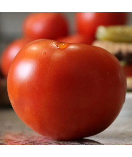 Park Seed, Celebrity Plus Hybrid Tomato Seeds, Pack Of 30 Seeds
