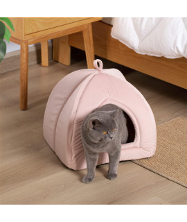 Kasentex Cat Bed For Indoor Cats, 2-In-1 Cat House Pet Supplies For Large Cat Or Small Dog - Animal Cave, Cat Tent With Removable Washable Pillow Cushion (Pink, 19X19X19)