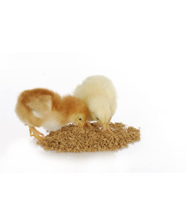 Cz Grain Medicated Chick Starter Feed - Prebiotics And Probiotics And Feed (2 Pounds)