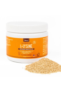 Iheartcats L-Lysine For Cats - Immune & Respiratory Supplement For Cats - L-Lysine Powder With Cat Nip - Chicken & Salmon Flavor