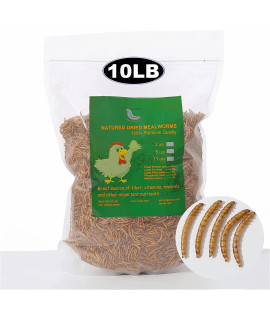 Euchirus 10Lbs Non-Gmo Dried Mealworms,High-Protein Larvae Treats Feed Molting Supplement For Birds Hens Ducks Etc,Large Bulk Meal Worms Birds Chicken Food