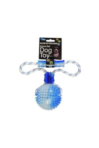 Glow in the Dark Spiked Ball Dog Toy