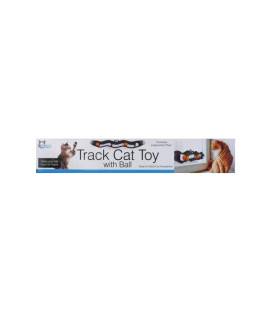 Turbo Track Cat Toy with Ball
