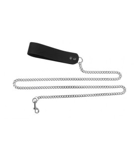 Spartacus 4 feet Chain Leash with Leather Handle(D0102HE9Y2A.)