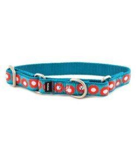 PetSafe Fido Finery Martingale Style Collar (1 Large, Teal My Heart)(D0102H766J7.)