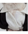 Varsity-Buckled Collared Pet Coat(D0102H7LJSG.)