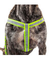 Reflective Stitched Easy Tension Adjustable 2-in-1 Dog Leash and Harness(D0102H7LWIW.)
