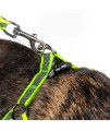 Reflective Stitched Easy Tension Adjustable 2-in-1 Dog Leash and Harness(D0102H7LWIW.)