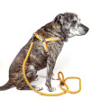 Reflective Stitched Easy Tension Adjustable 2-in-1 Dog Leash and Harness(D0102H7LW2U.)