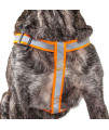 Reflective Stitched Easy Tension Adjustable 2-in-1 Dog Leash and Harness(D0102H7LW2U.)