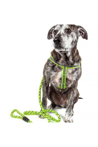 Reflective Stitched Easy Tension Adjustable 2-in-1 Dog Leash and Harness(D0102H7LW27.)