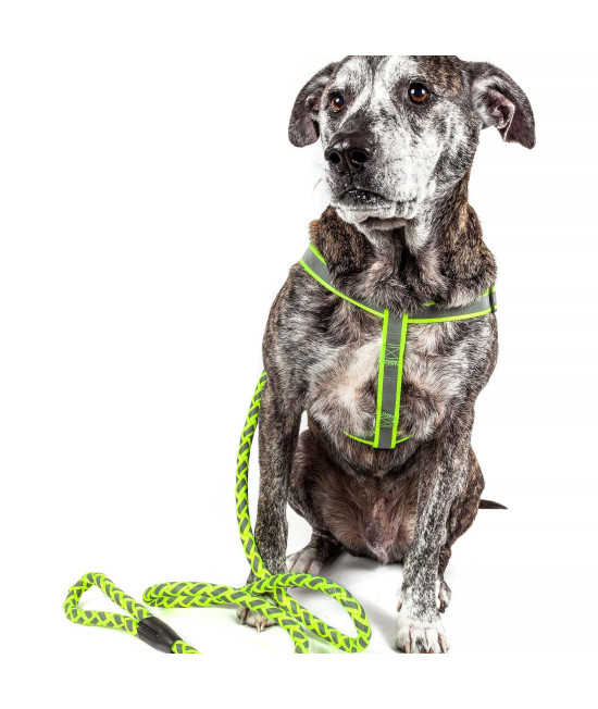 Reflective Stitched Easy Tension Adjustable 2-in-1 Dog Leash and Harness(D0102H7LW27.)