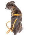 Reflective Stitched Easy Tension Adjustable 2-in-1 Dog Leash and Harness(D0102H7LWGA.)