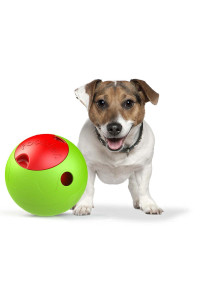 The Foobler Timed, Self Reloading Puzzle Feeder for Dogs Toy Ball(D0102H70U07.)