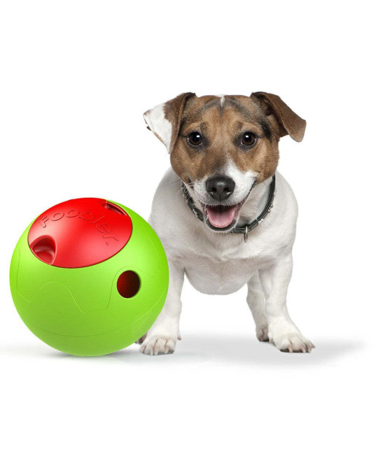 The Foobler Timed, Self Reloading Puzzle Feeder for Dogs Toy Ball(D0102H70U07.)