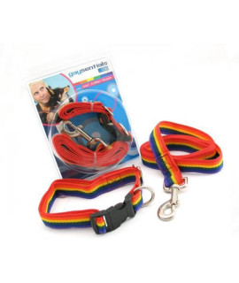 Gaysentials Pet Collar and Leash Set Large(D0102H5GJHV.)