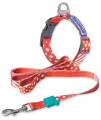 Touchdog 'Trendzy' 2-in-1 Matching Fashion Designer Printed Dog Leash and Collar(D0102HAX97A.)