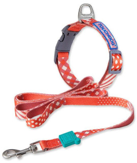 Touchdog 'Trendzy' 2-in-1 Matching Fashion Designer Printed Dog Leash and Collar(D0102HAX97A.)