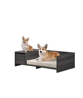 Esme Ash Gray 47 Wide Modern Comfy Pet Bed with Cushion and Side Storage Compartment