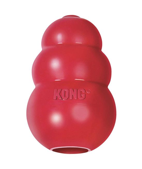 KONG - Classic Dog Toy, Durable Natural Rubber- Fun to Chew, Chase and Fetch - for Small Dogs