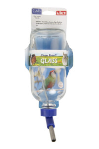 LIXIT Chew Proof Glass Water Bottle 16oz