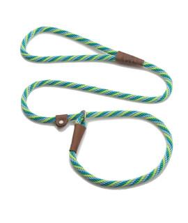 Mendota Pet Slip Leash - Dog Lead and Collar Combo - Made in The USA - Seafoam, 3/8 in x 6 ft - for Small/Medium Breeds