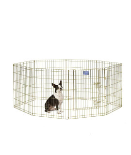MidWest Homes for Pets Foldable Metal Dog Exercise Pen / Pet Playpen, Gold zinc w/ door, 24'W x 30'H, 1-Year Manufacturer's Warranty