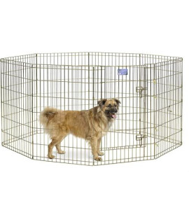 MidWest Homes for Pets Foldable Metal Dog Exercise Pen / Pet Playpen, Gold zinc w/ door, 24'W x 36'H, 1-Year Manufacturer's Warranty